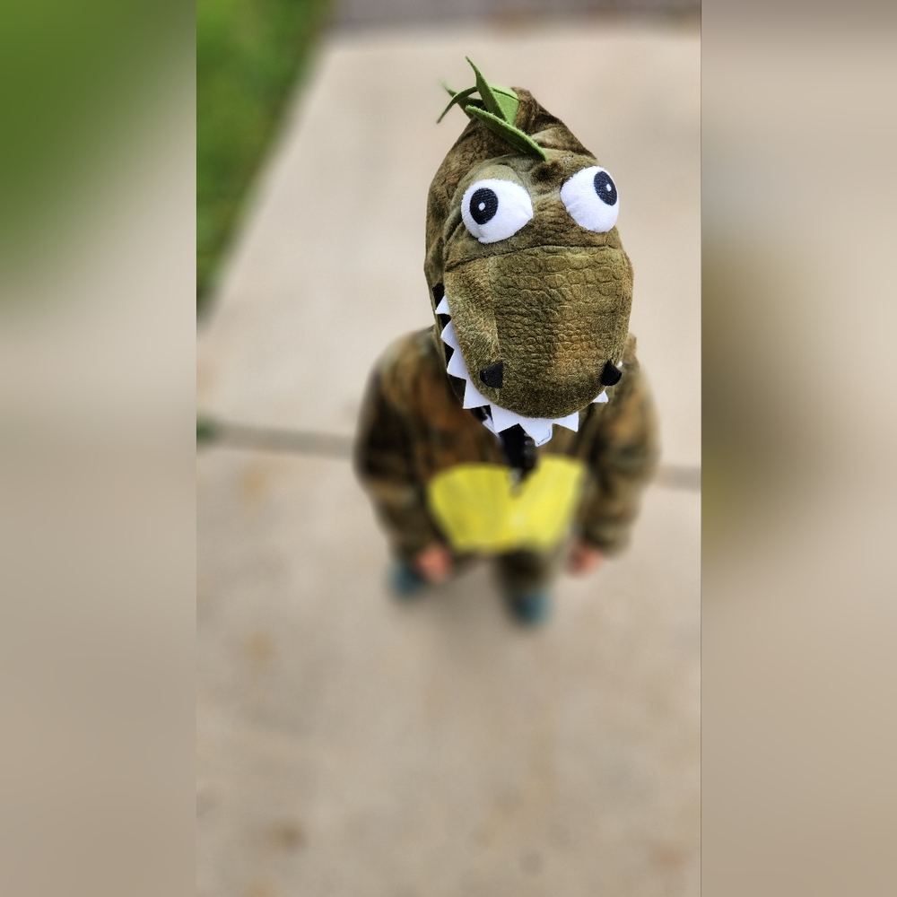 Kids Dinosaur Costume - Green and Yellow - Picture 2 of 5